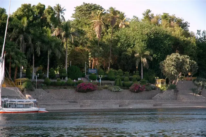 Felucca bird watching boat Aswan — slow passage along the Nile's reed-fringed banks